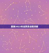 属猪2022年运势及运程详解，属猪2022 年全年运势及运程