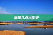 属猪几点出生好，属猪几月生是一等命