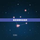 属虎是哪年出生的，98年属虎24岁有一灾