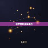 属虎是什么星座的，属虎是什么星座。