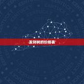 发财树的价格表，发财树的价格