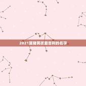 2021属猪男孩最吉利的名字，2021男孩名字洋气