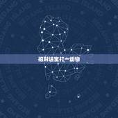 招财进宝打一动物，请问招财进宝是属于十二生肖的哪个动物？最好有来源解释