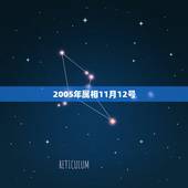 2005年属相11月12号，1951年阴历11月12号生属什么星座