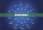 发财树风景图片，我想买一棵发财树，什么样的好啊？（追加分）