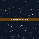 红楼梦当中的下人婚配，红楼梦主要人物的关系