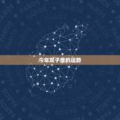 今年双子座的运势，双子今年的运势