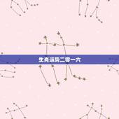 生肖运势二零一六，十二生肖今年运势