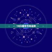 1985属牛今年运势，属牛今天运势1985