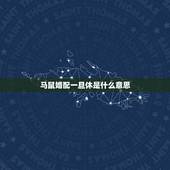马鼠婚配一旦休是什么意思，羊鼠相交一旦休是什么意思