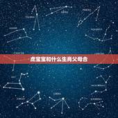 虎宝宝和什么生肖父母合，属虎和属牛的生个个什么属相的孩子好