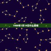 1988年1月14日什么属相，1987年1月12日出生的人属什么？