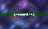 最好看的葫芦图片大全，文玩葫芦什么品种最好