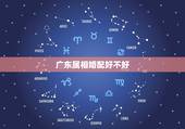 广东属相婚配好不好，属鼠和属蛇的属相配吗