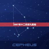 2007年十二月初九属相，2006年阴历12月初九生的属什么