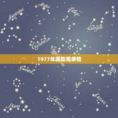 1977年属蛇男感情，属蛇男喜欢一个人反应