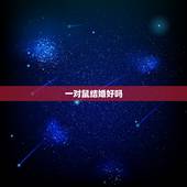 一对鼠结婚好吗，男鼠女兔能结婚吗