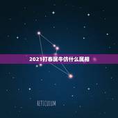2021打春属牛仿什么属相，2021年属牛正月初几出生好