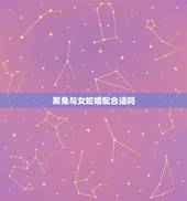 男兔与女蛇婚配合适吗，兔男与蛇女婚配好吗