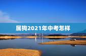 属狗2021年中考怎样，属狗2021年运势及运程每月运程