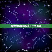 属蛇的属相婚配表十二生肖网，男属蛇的属相婚配表大全 男属蛇与什么属相般