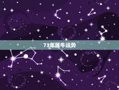 73年属牛运势，73年属牛今年运程如何？