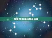 属猪2007年运势及运程，1983.06.24属猪的人2007年的运势