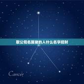 取公司名属猪的人什么名字招财，属猪取什么名字好？