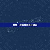 金鱼一般养几条最旺财运，金鱼养几条比较吉利