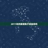 2011年的属相兔子是金命吗，1983年属猪五行什么命
