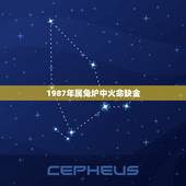 1987年属兔炉中火命缺金，1987年属