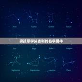 男孩草字头吉利的名字属牛，属牛男孩最吉利的名字