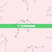 十二生肖最佳婚配，十二生肖男女最佳配对