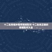 十二生肖相冲相克婚姻配对 十二生肖正确的婚姻配对大全