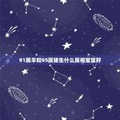 91属羊和95属猪生什么属相宝宝好，属羊90年和属猪95年生什么属相的