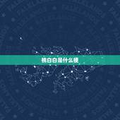桃白白是什么梗，陶白白是谁？