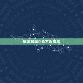 属龙和属牛合不合得来，属龙的跟属牛的男的合得来吗