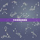 牛年家里出现老鼠，家里出现老鼠