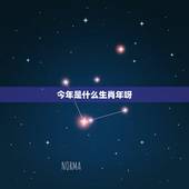 今年是什么生肖年呀，今年是十二生肖什么年