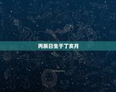 丙辰日生于丁亥月，丙辰日一柱论命