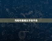马和牛属相父子合不合，属相父牛子马相冲吗
