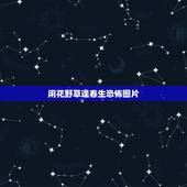 闲花野草逢春生恐怖图片，闲花野草逢春生这句话怎么了？恐怖吗