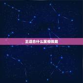 王适合什么属相佩戴，可以戴王吊坠吗？