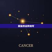 属鼠的运势如何，84鼠人2022 年每月运程