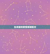 生肖猪的爱情婚姻配对，男性生肖属猪和女性生肖属猪婚姻配对好吗