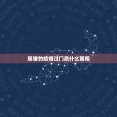 属猪的结婚过门忌什么属相，属猪和属虎的结婚忌讳什么属相？