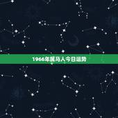 1966年属马人今日运势，66年属马人今年什么运气