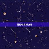 属相相克顺口溜，十二生肖口诀歌