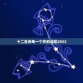 十二生肖每一个月的运程2022，十二生肖逐年逐月运势