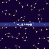 十二生肖守护神，十二生肖的动漫